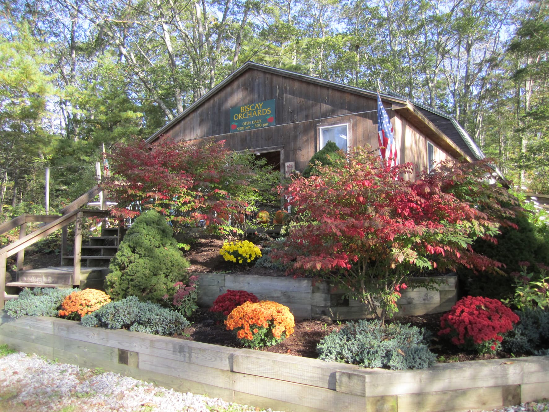 Farm photography at Biscay Orchards, Damariscotta, Maine.