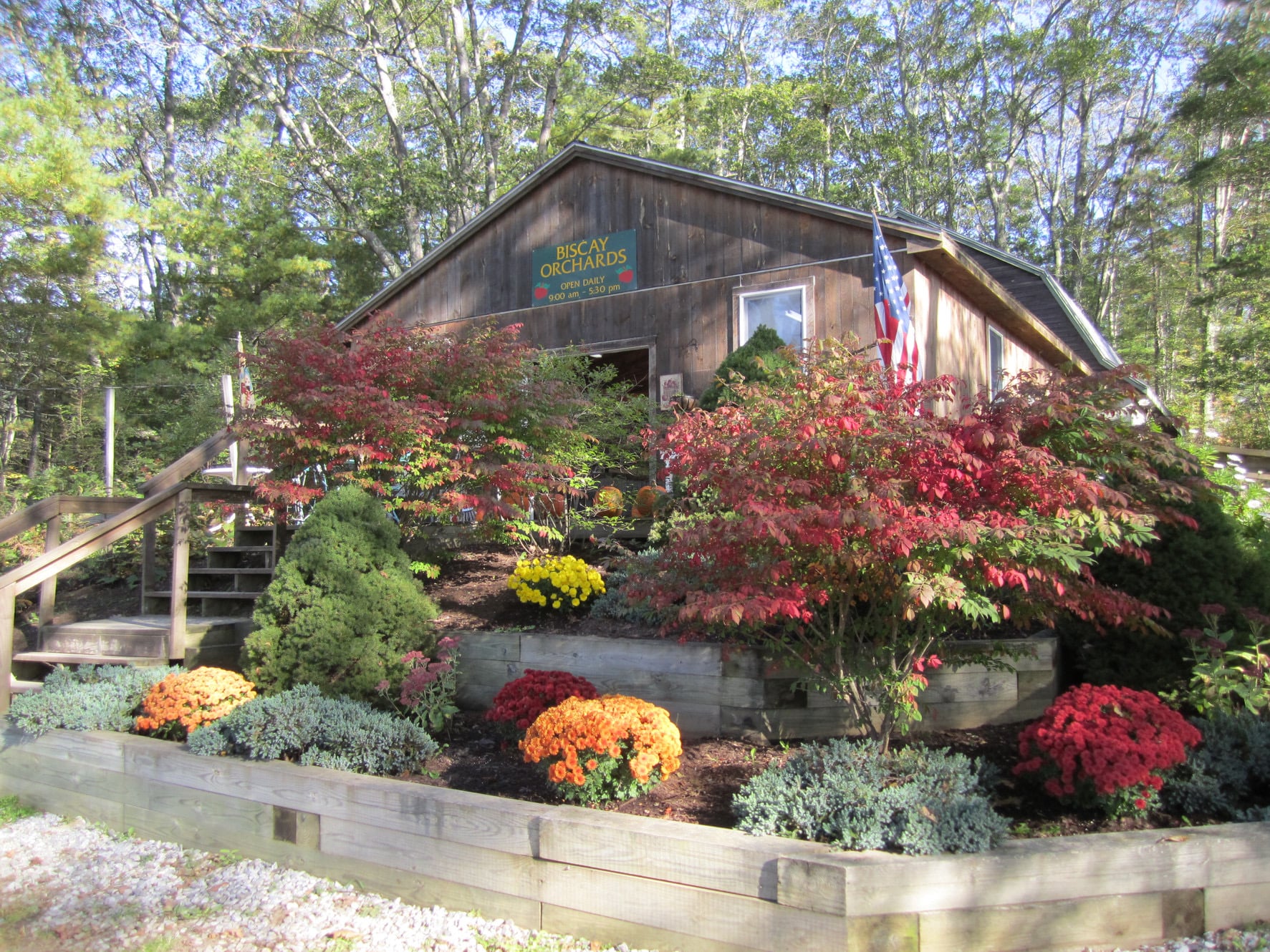 Farm photography at Biscay Orchards, Damariscotta, Maine.