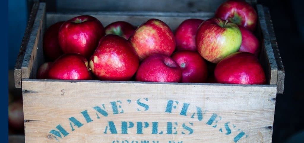Farm photography at Brackett Orchards, Limington, Maine.