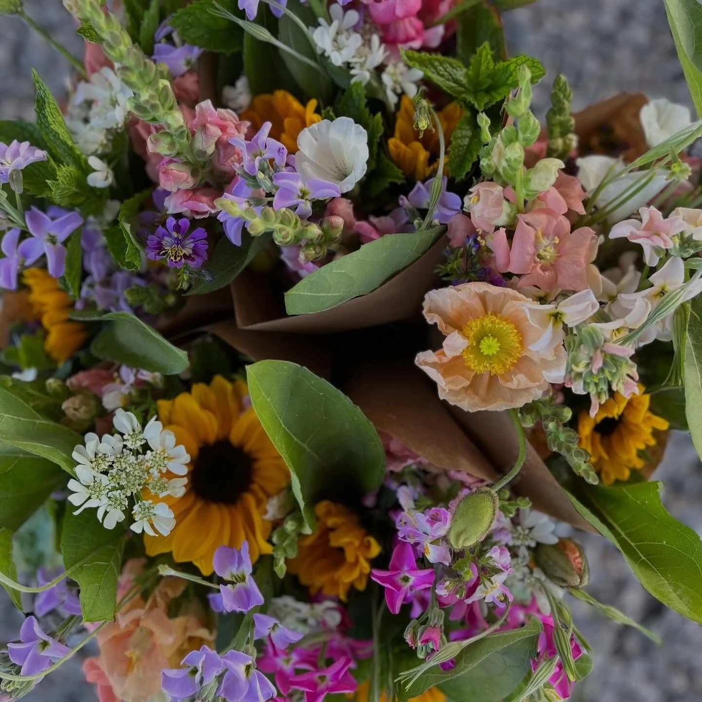 Bumbleroot Organic Farm: farm windham me gallery item 2 flowers