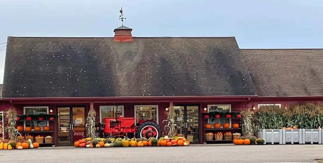 Farm photography at Chase Farms, Wells, Maine.