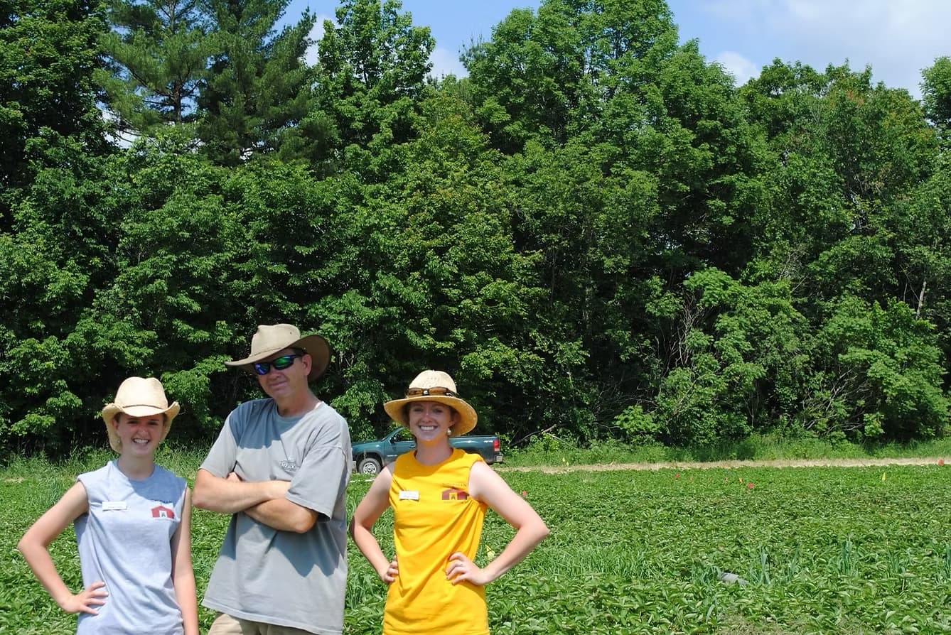 Farm photography at Chipman Farm U-Pick Strawberries, Minot, Maine.
