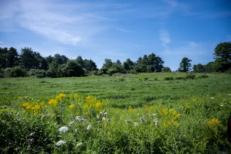 Farm photography at Crystal Spring Farm, Brunswick, Maine.