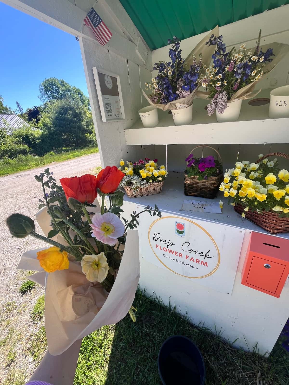 Owner-submitted farm photo for Deep Creek Flower Farm.