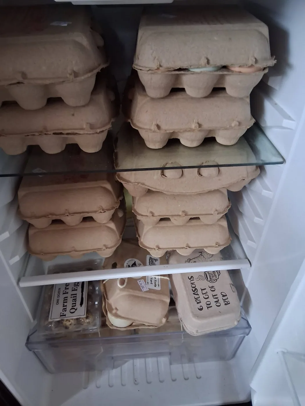 Cartons of chicken, duck, quail, and goose eggs inside the Feather Foots Barn Yard farm stand refrigerator.