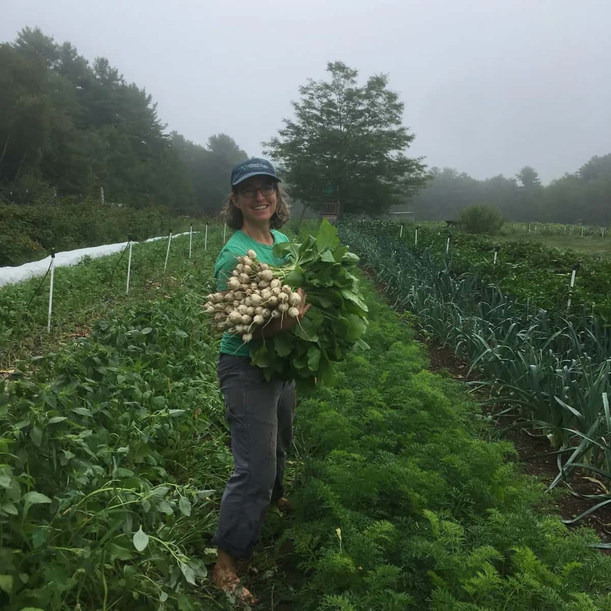 Farm photography at Fisher Farm, Winterport, Maine.