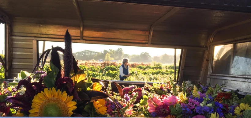 Goranson Farm in Dresden, Maine