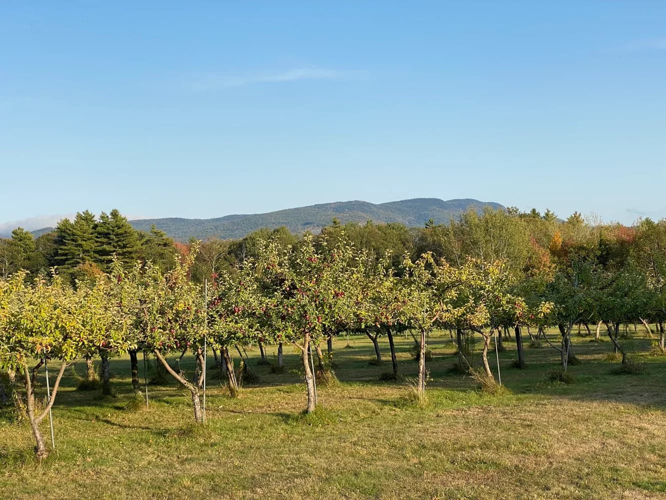 Hardy Farms in Hope, Maine