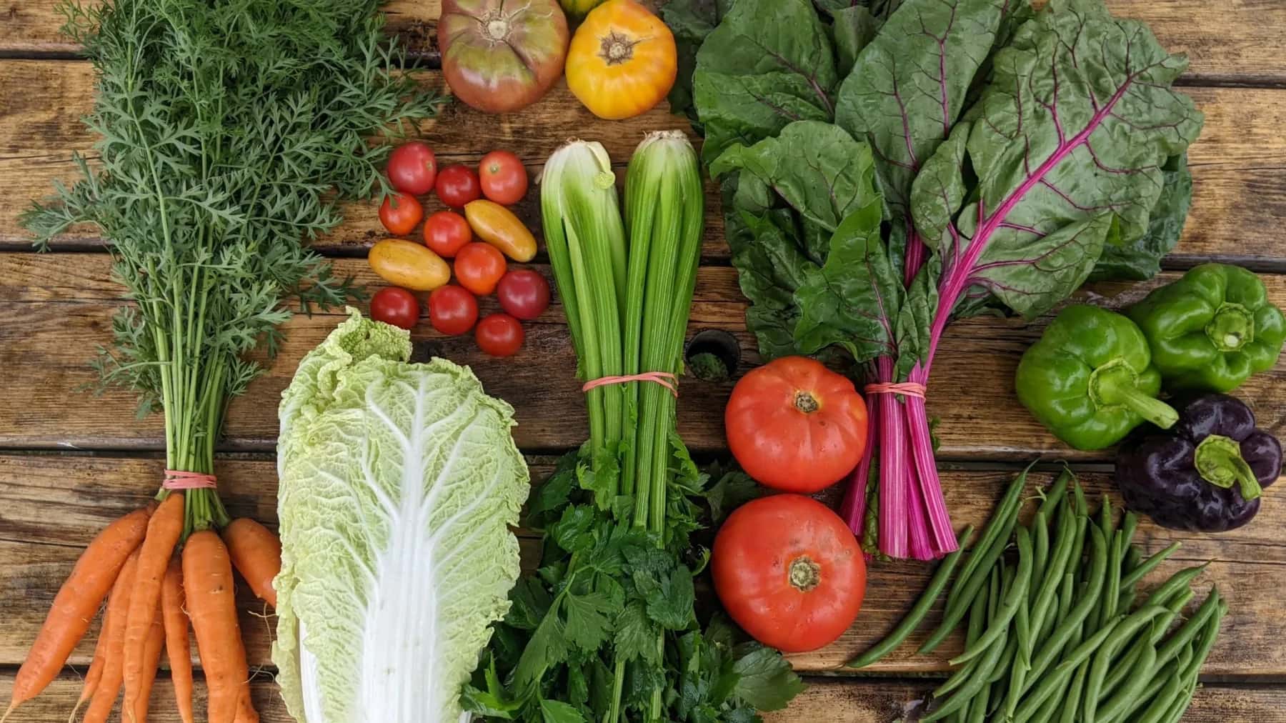 Farm photography at Harvest Tide Organics, Bowdoinham, Maine.
