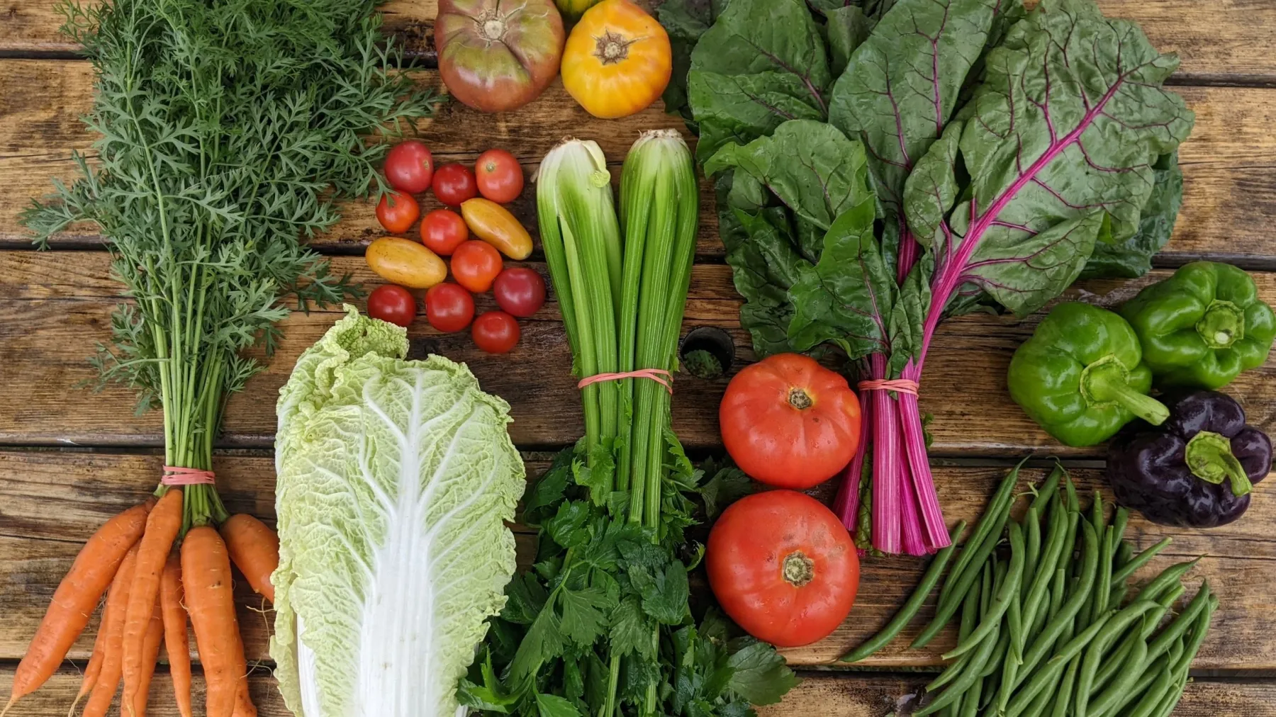 Northern Bay Organics in Penobscot, Maine