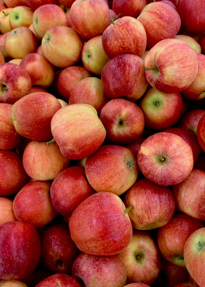 Hope Orchards in Hope, Maine