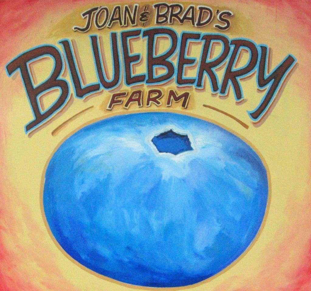 Farm photography at Joan & Brad's Berry Farm, Hollis, Maine.
