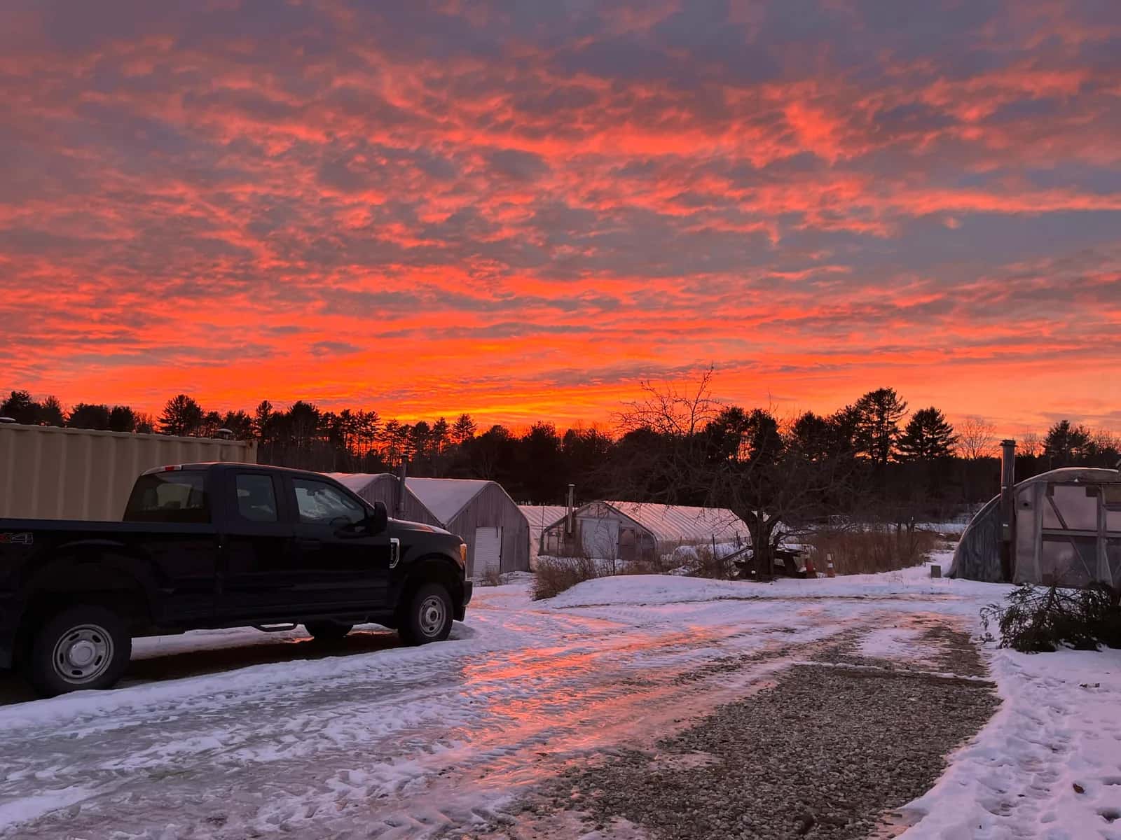 Farm photography at Laughing Stock Farm, Freeport, Maine.