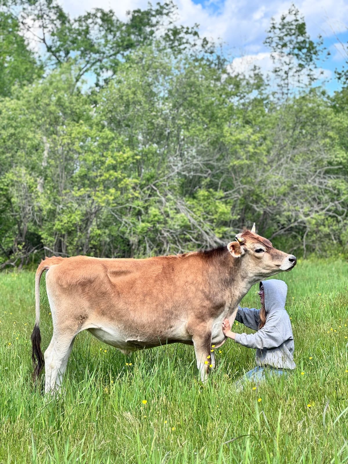 Owner-submitted farm photo for Our Humble Homestead.