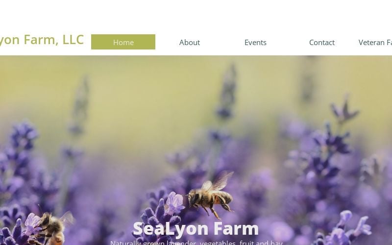 Farm photography at SeaLyon Farm, Alna, Maine.