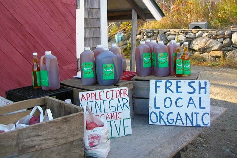 Sewall Orchard: lincolnville me gallery item 1 orchard