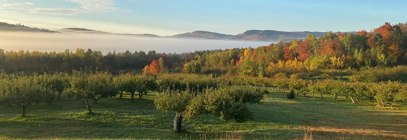 Sparrowhawk Orchard in Bethel, Maine