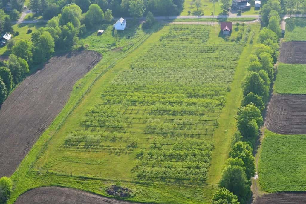 Farm photography at Sullivan Orchard, Charleston, Maine.