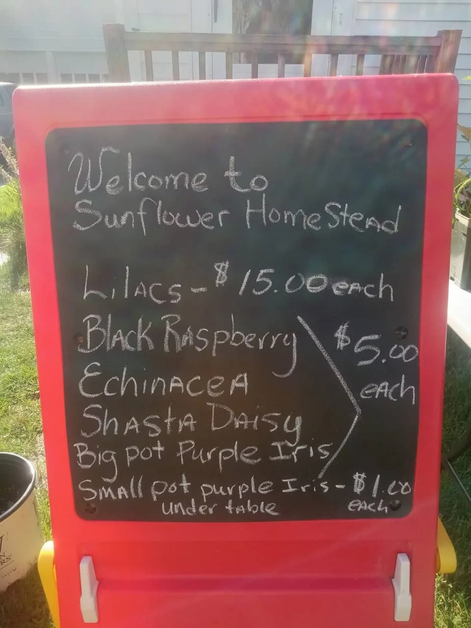 A Sunflower Homestead chalkboard listing lilacs, black raspberry plants, echinacea, shasta daisies, and irises.