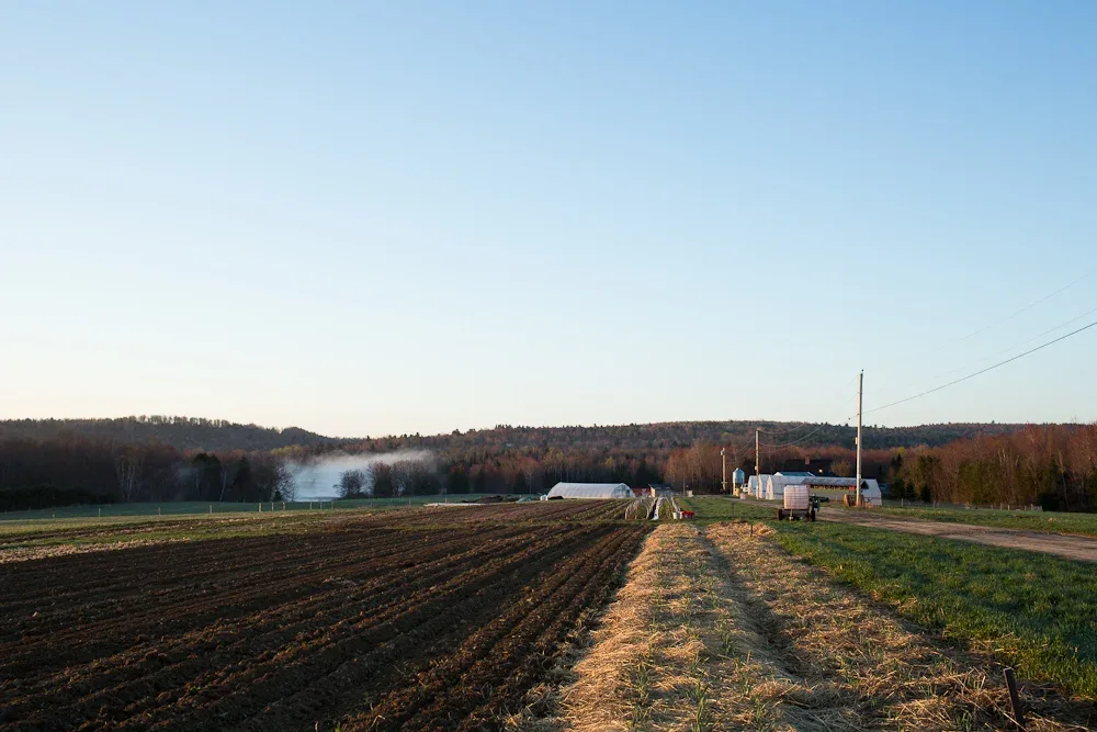Villageside Farm in Freedom, Maine