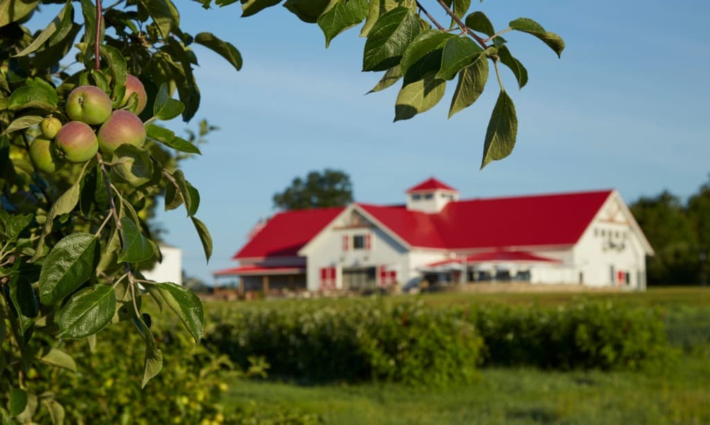Farm photography at Applecrest Farm Orchards, Hampton Falls, New Hampshire.
