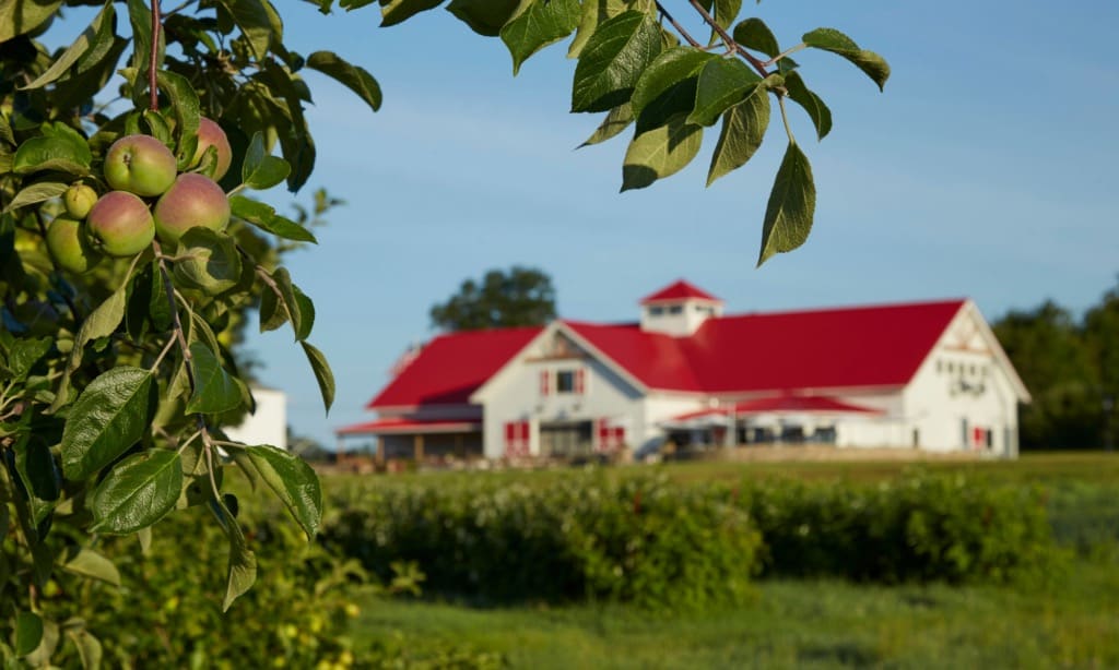 Farm photography at Applecrest Farm Orchards, Hampton Falls, New Hampshire.