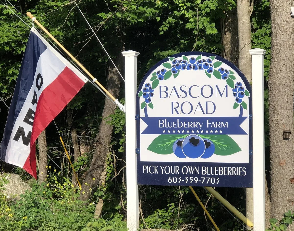 Bascom Road Blueberry Farm in Newport, New Hampshire