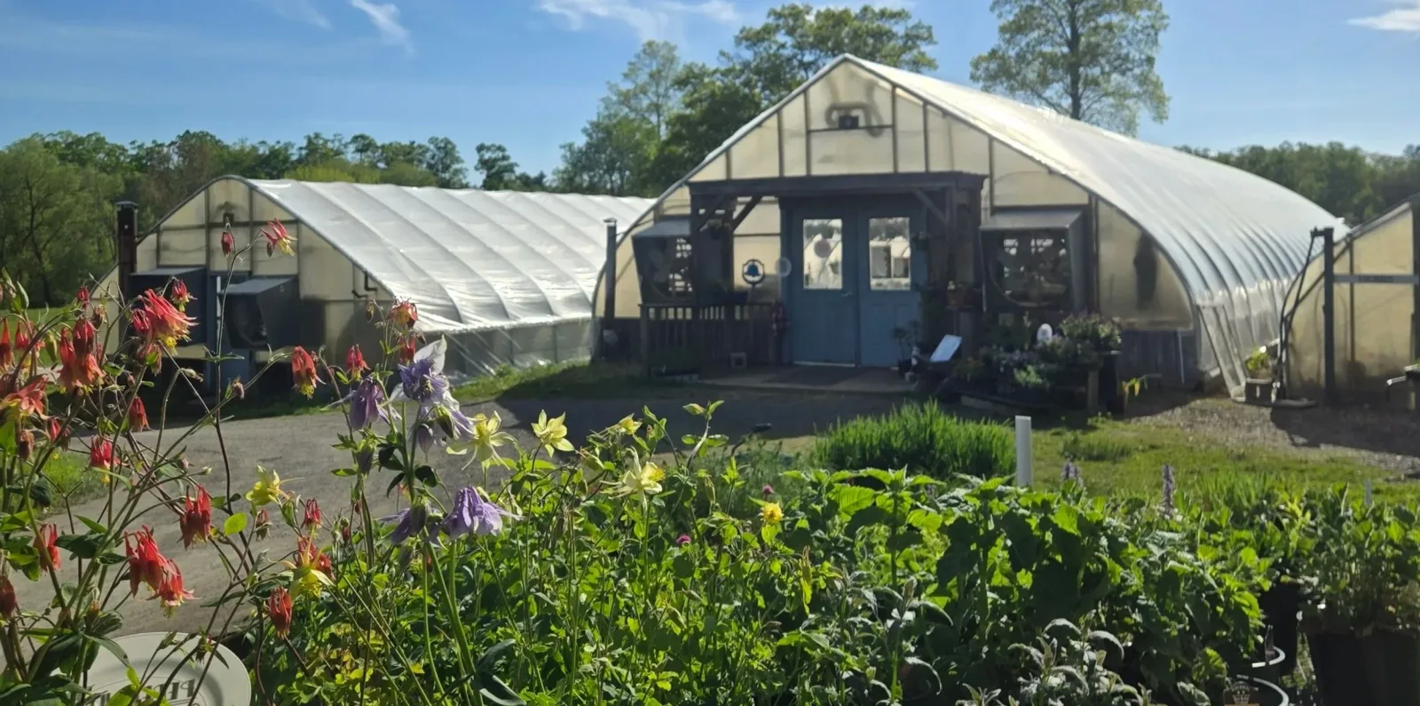 Farm photography at Blue Bell Greenhouse, Lee, New Hampshire.