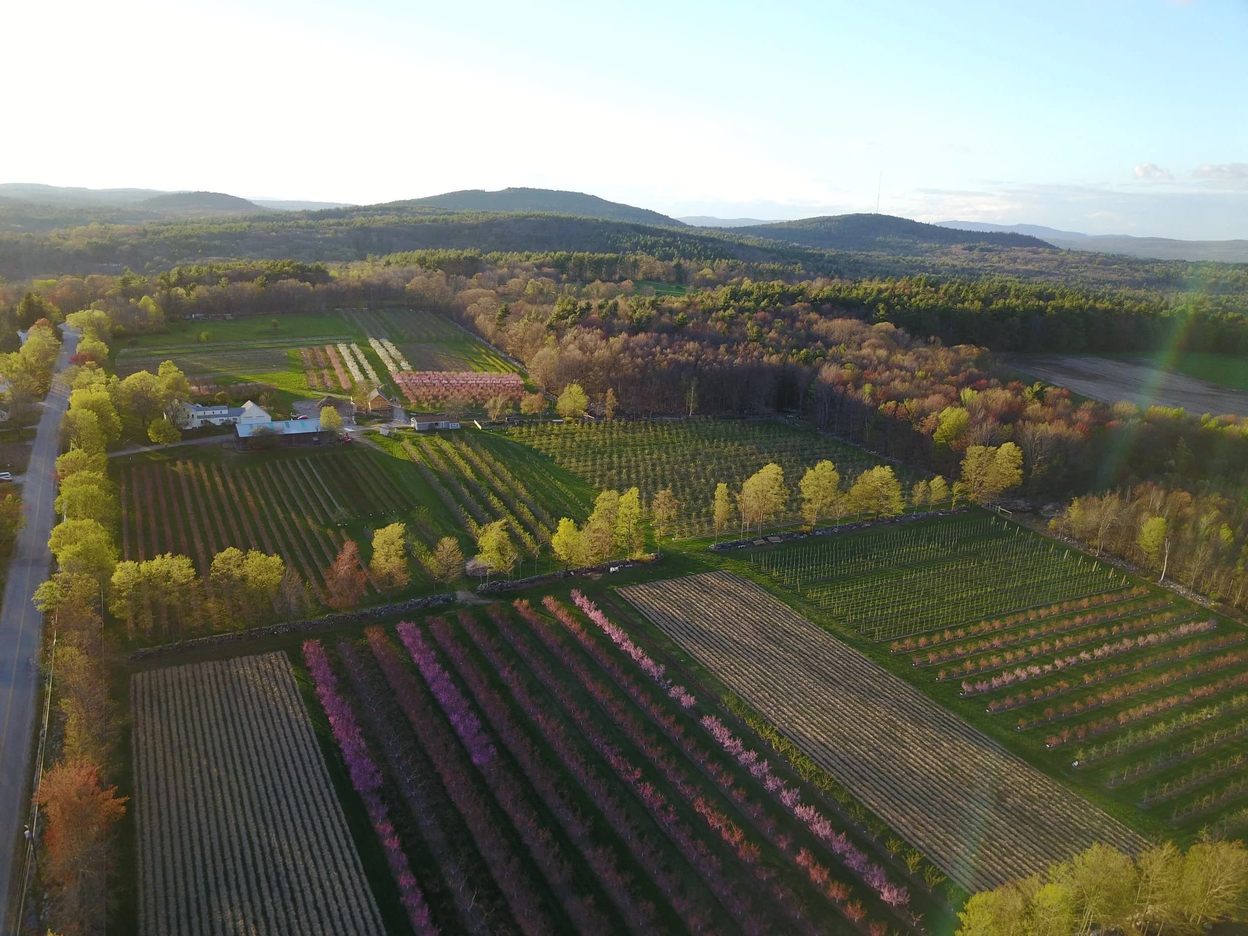 Farm photography at Butternut Farm, Farmington, New Hampshire.