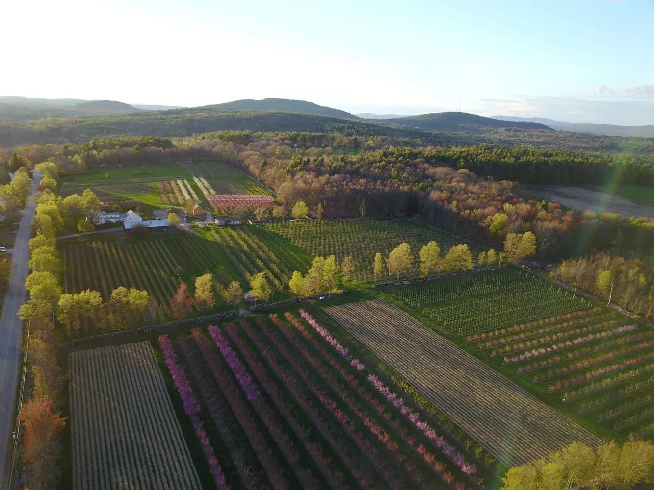Butternut Farm in Farmington, New Hampshire