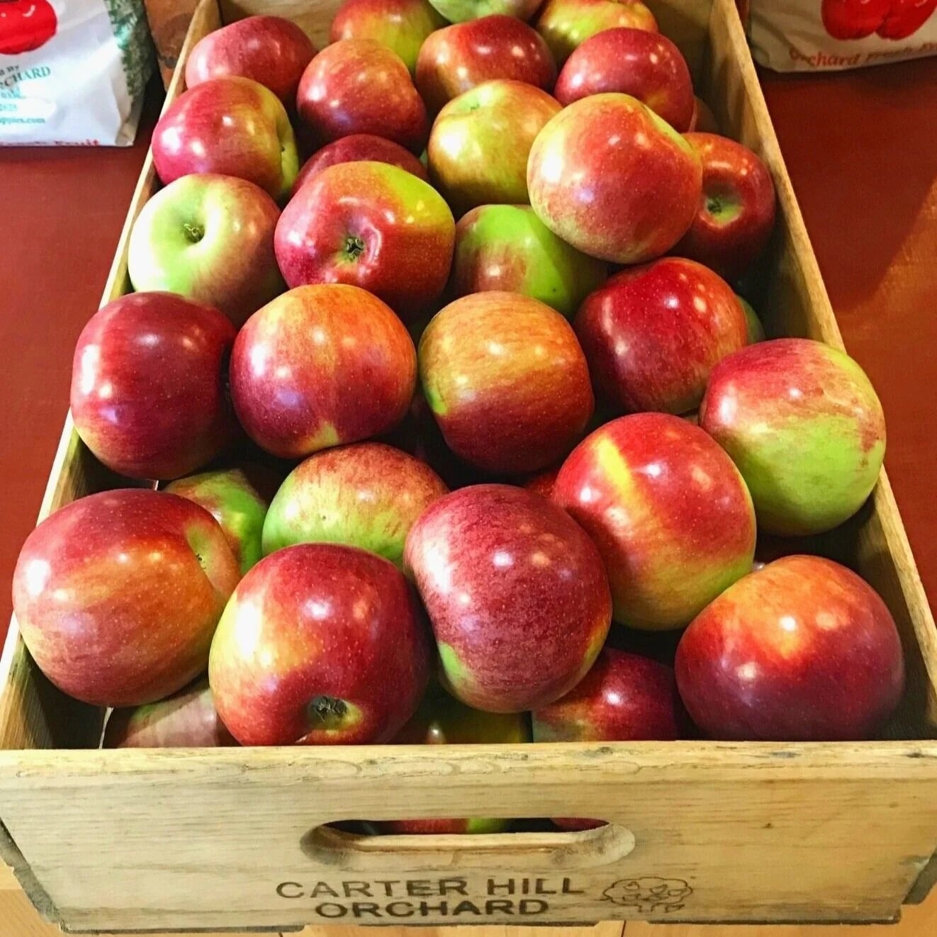 Farm photography at Carter Hill Orchard, Concord, New Hampshire.