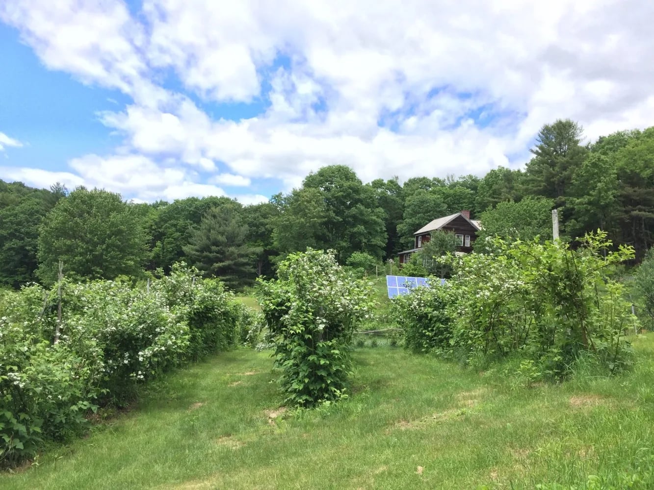Cheshire Garden in Winchester, New Hampshire