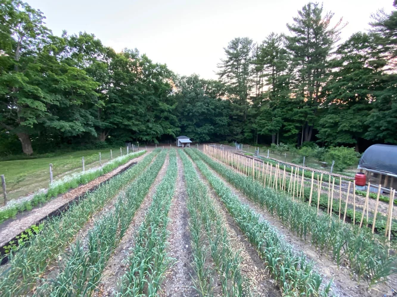 Farm photography at Fat Peach Farm, Madbury, New Hampshire.