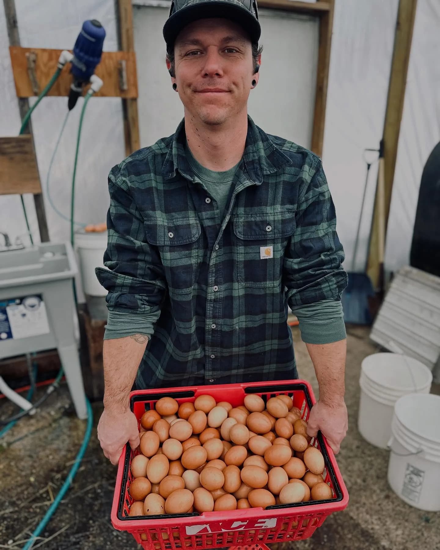 Forsyth Family Farm: farm gilford nh gallery 1