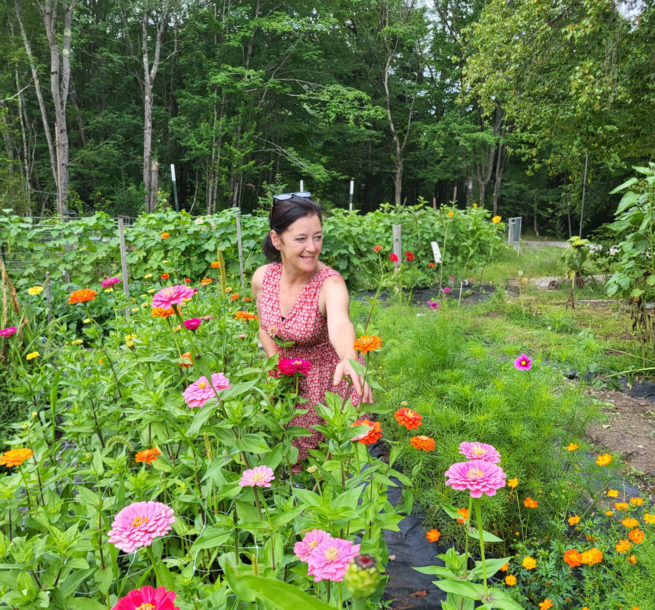 Farm photography at French Meadow Farm, Wilmot, New Hampshire.