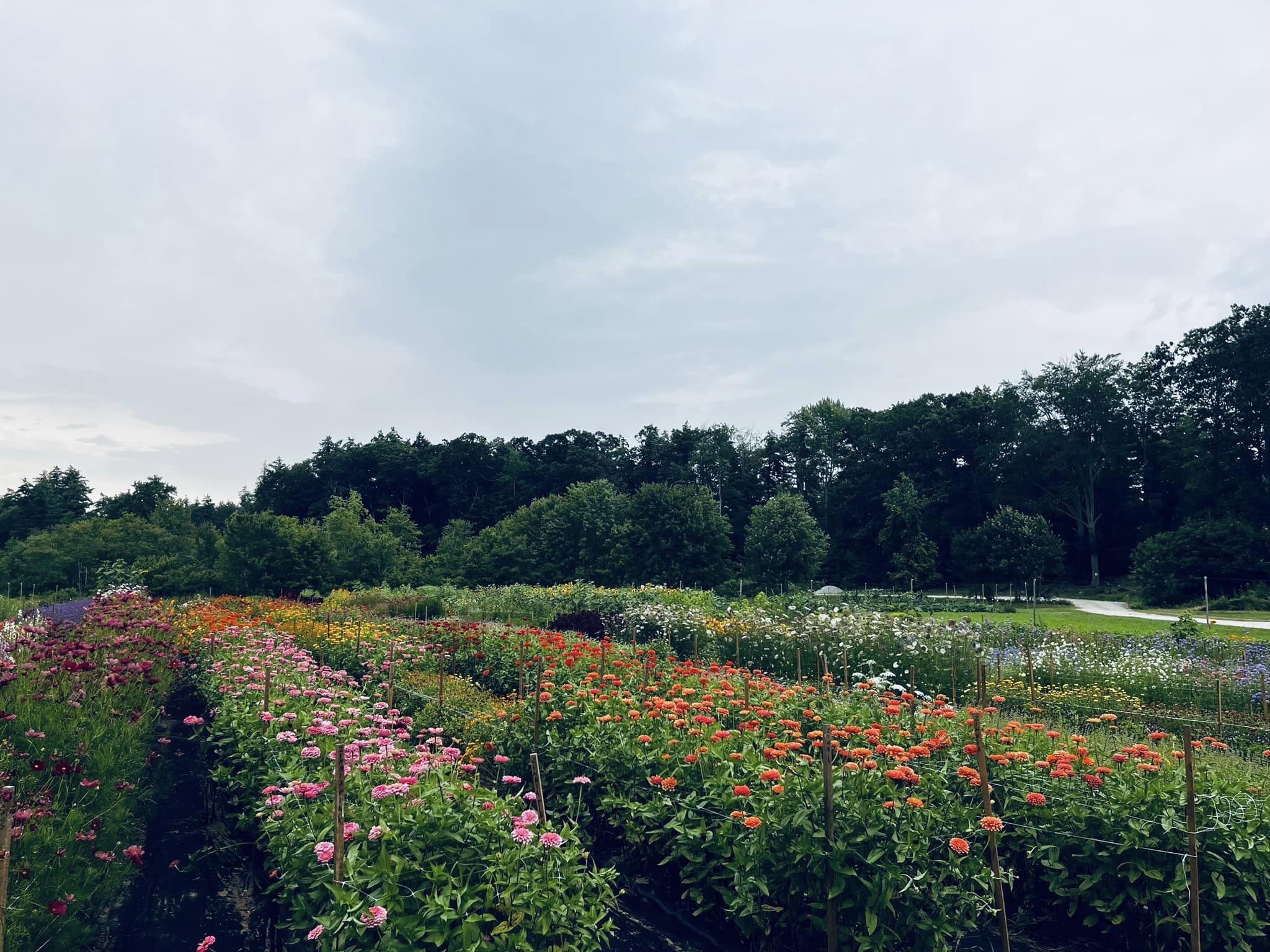 Farm photography at Gardent Farms, Milford, New Hampshire.