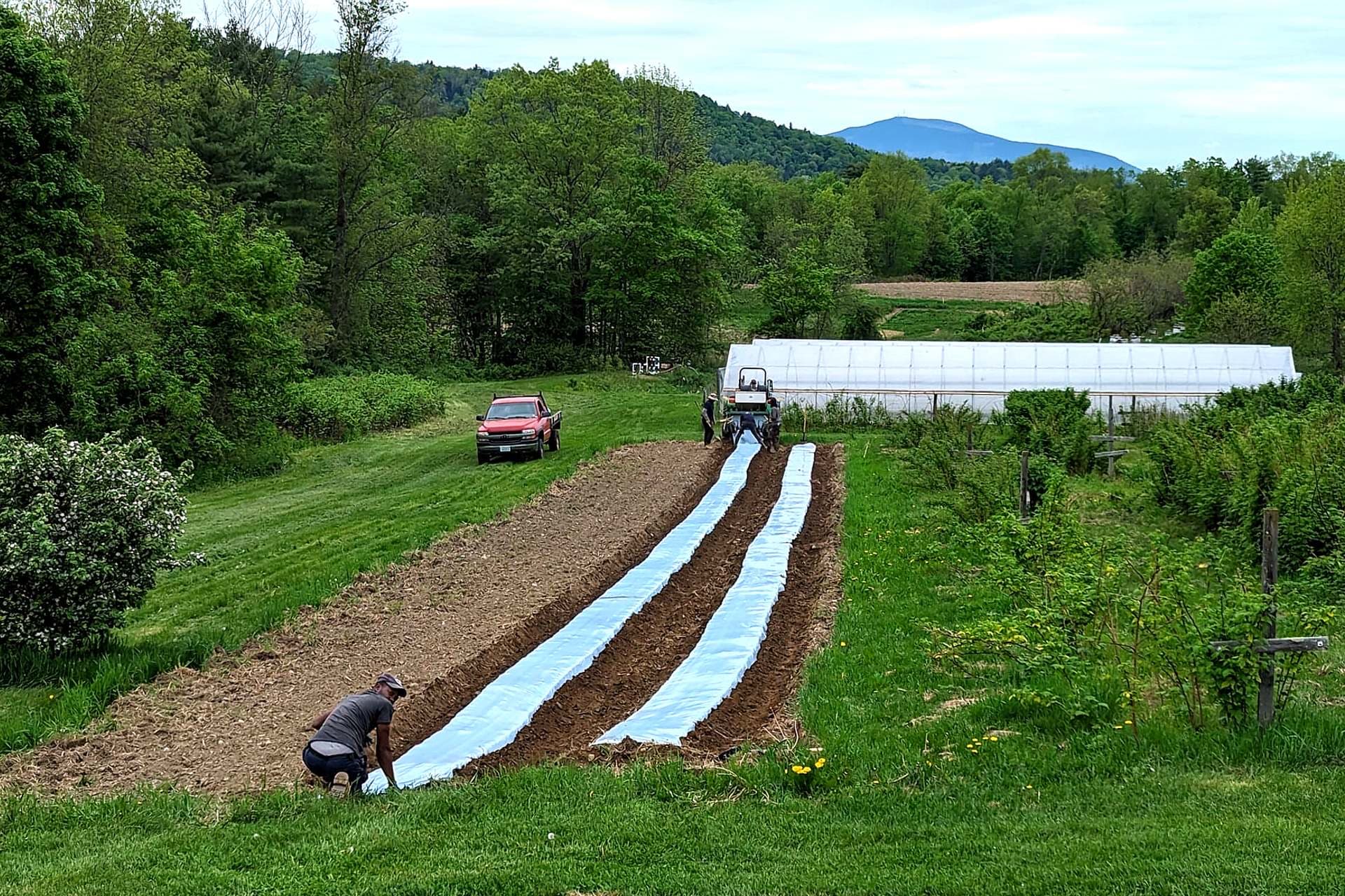 Farm photography at Hemingway Farms, Charlestown, New Hampshire.