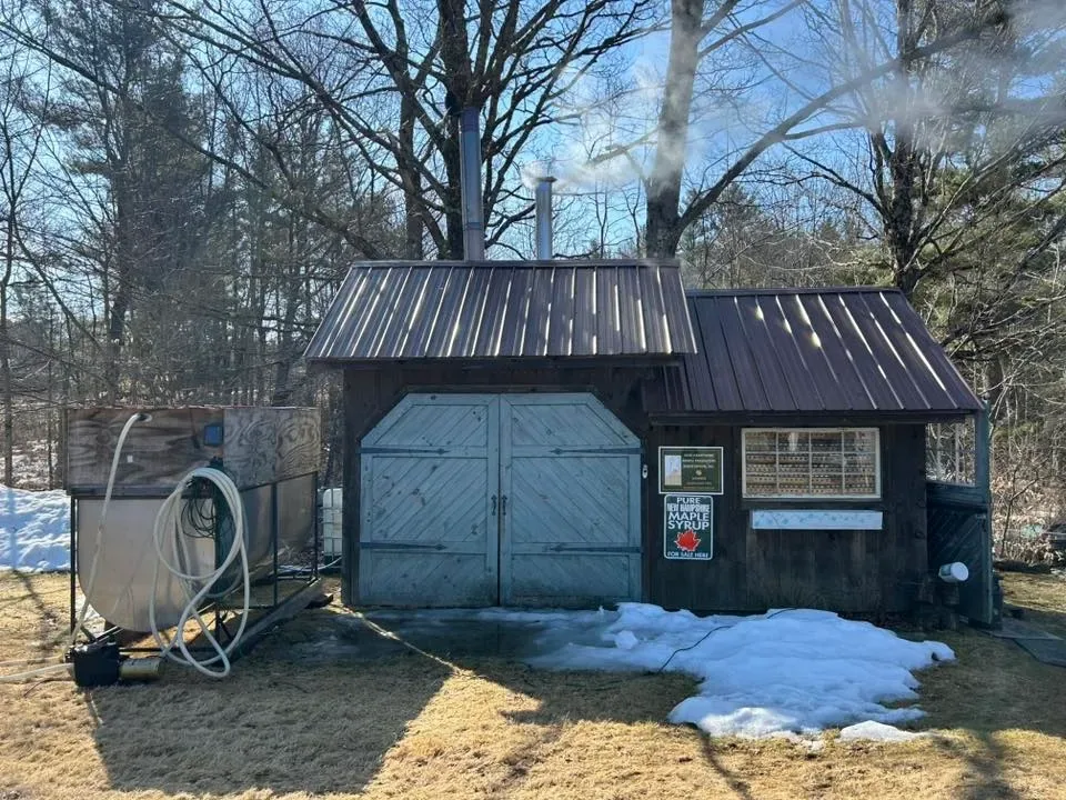 Maple Row Sugaring in Rindge, New Hampshire