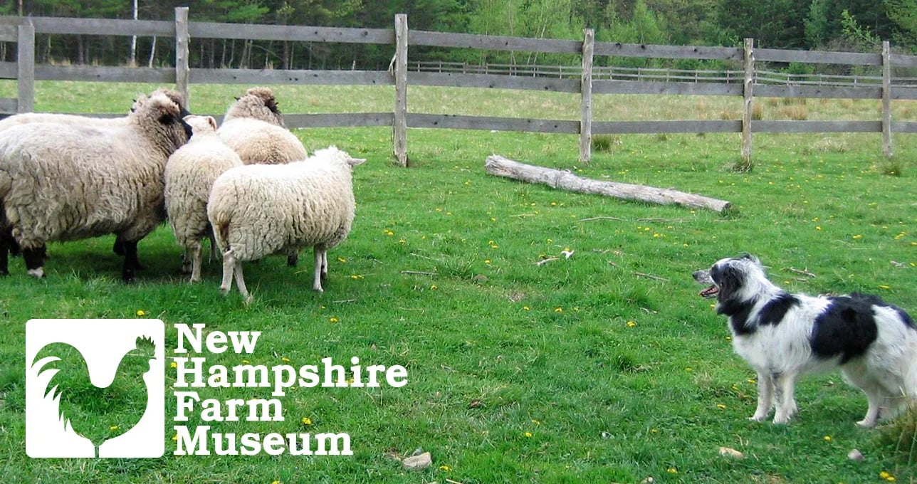 D Acres of New Hampshire in Dorchester, New Hampshire