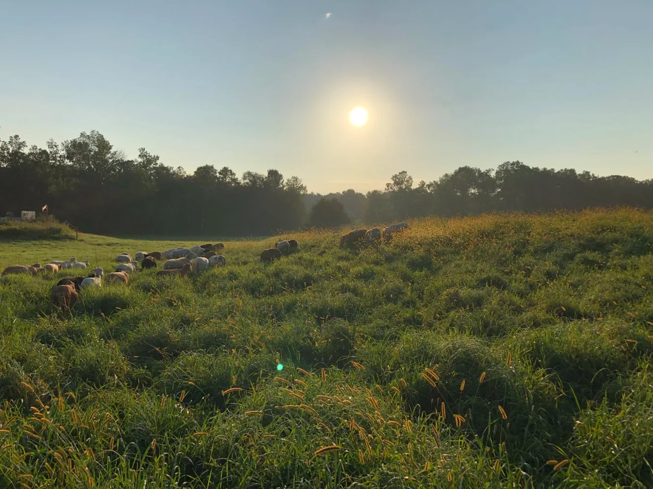 Old Orchard Farm in Madbury, New Hampshire