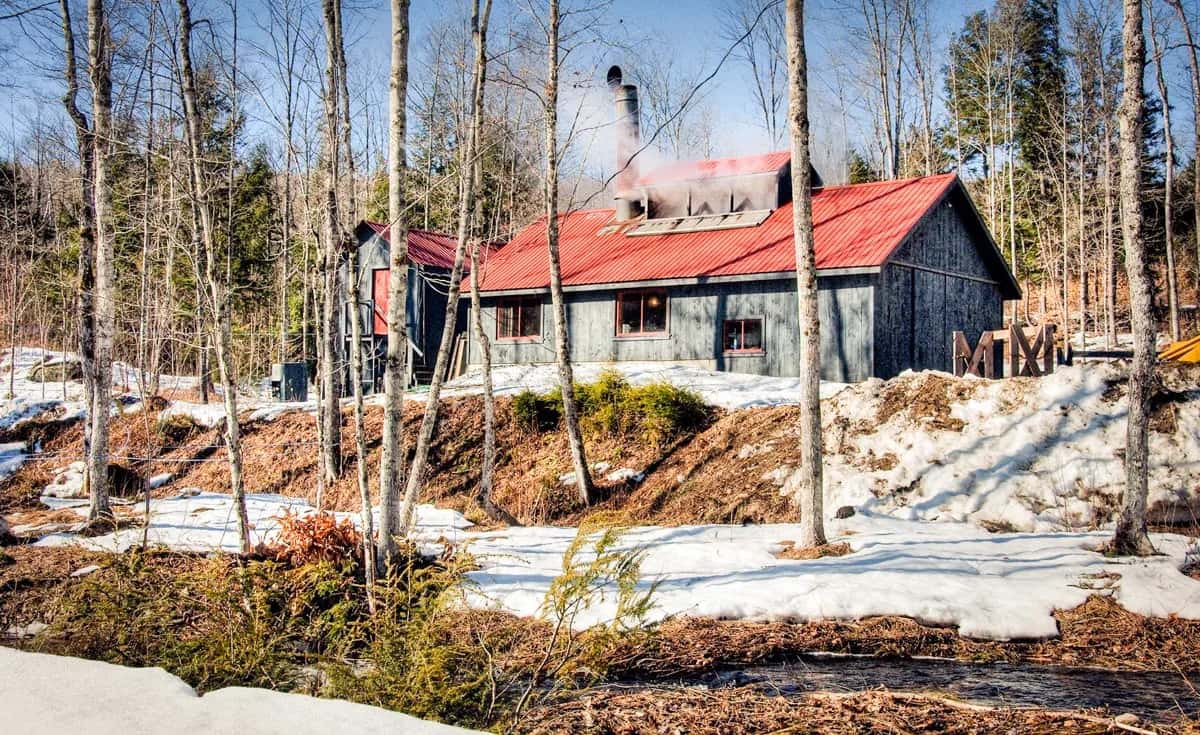 Farm photography at Rogers Maple Syrup, Warner, New Hampshire.