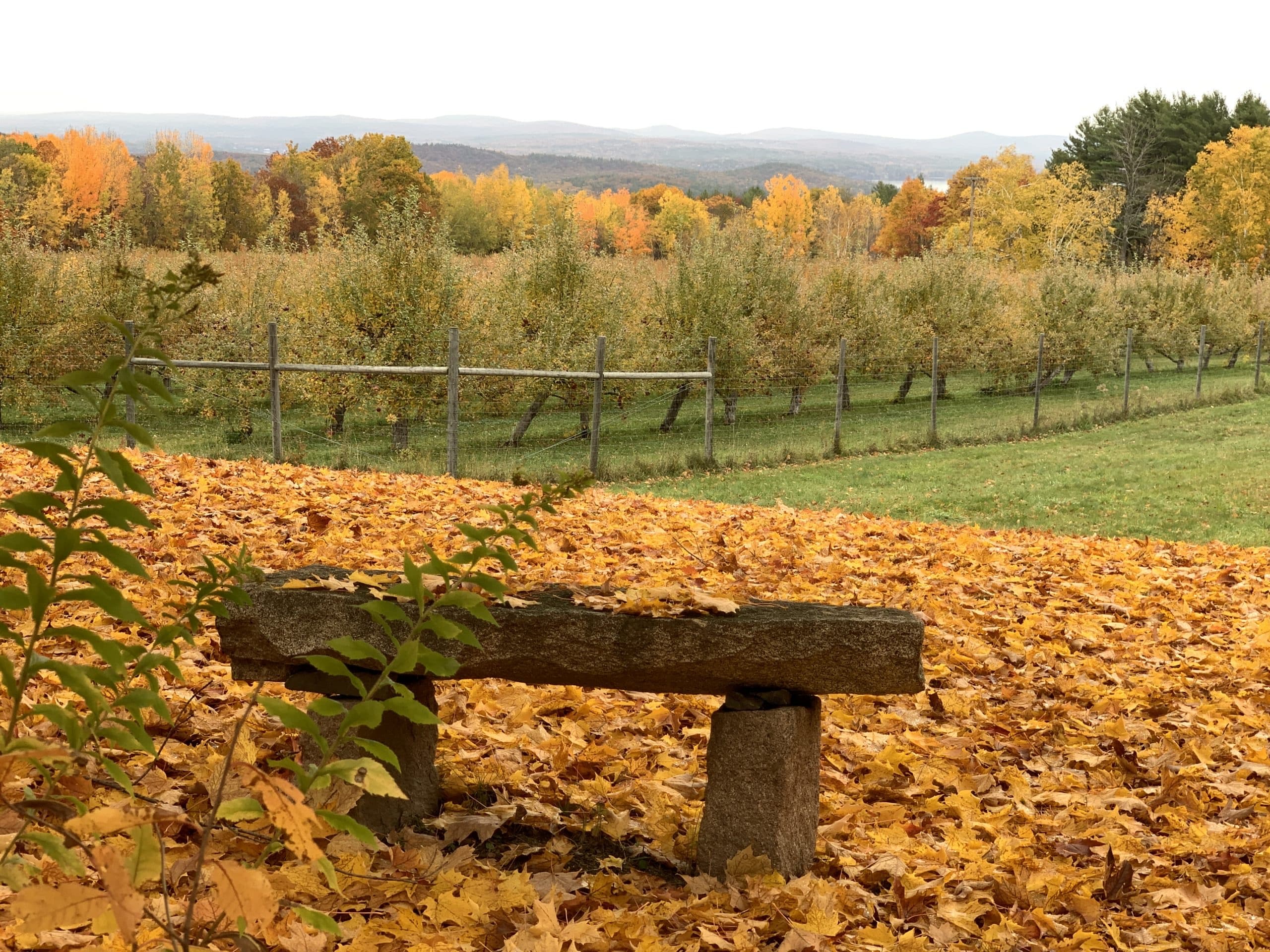 Farm photography at Stone Brook Hill Farm, Gilford, New Hampshire.
