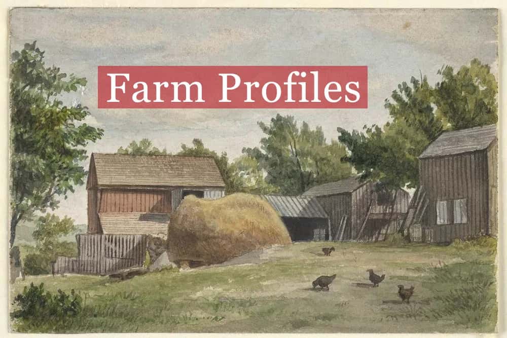 Farm photography at Stonegate Farm and Flowers, Greenfield, New Hampshire.