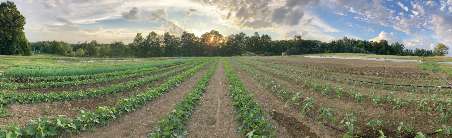 Stout Oak Farm in Brentwood, New Hampshire