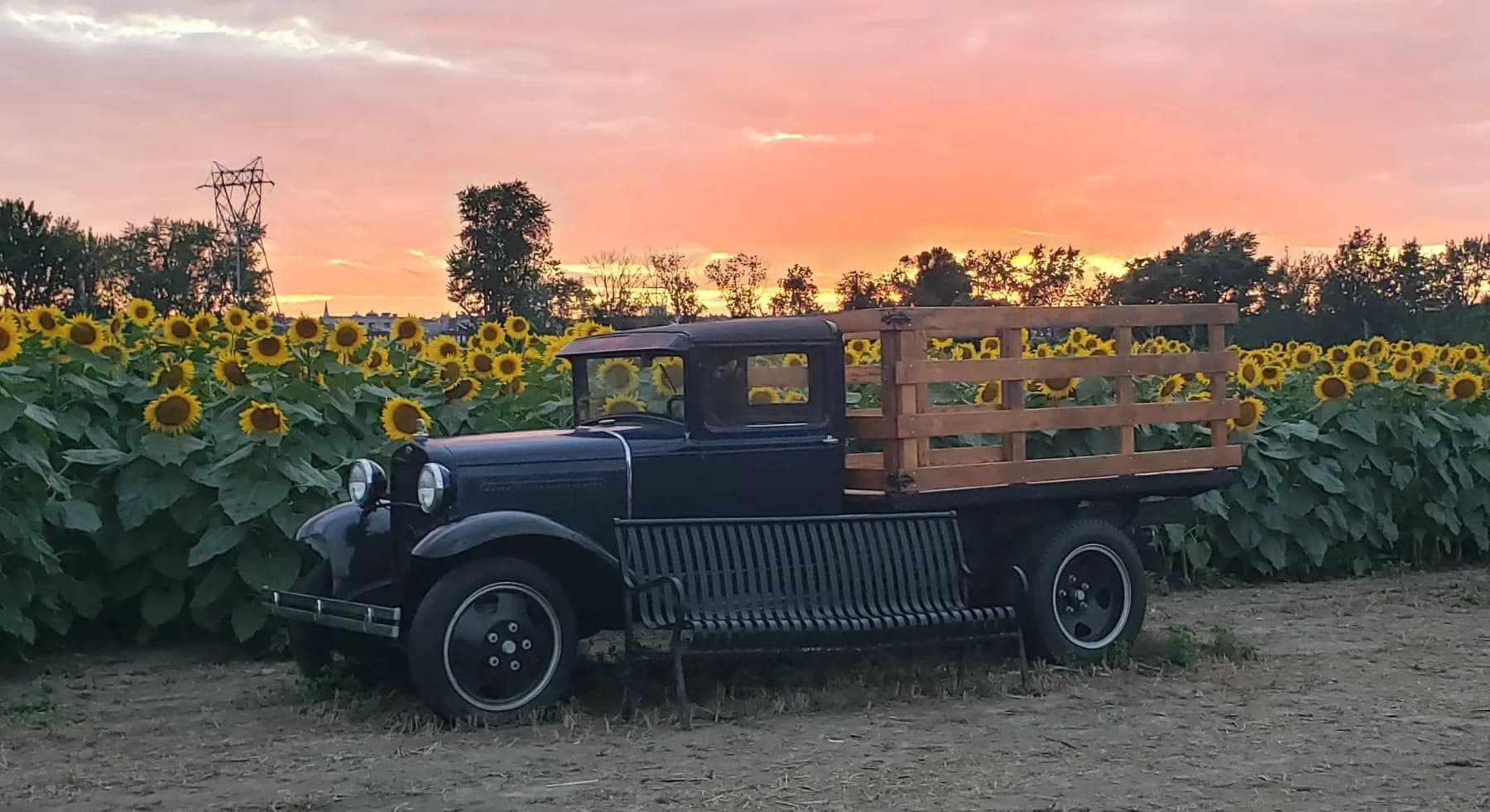 Farm photography at Sunfox Farm, Concord, New Hampshire.