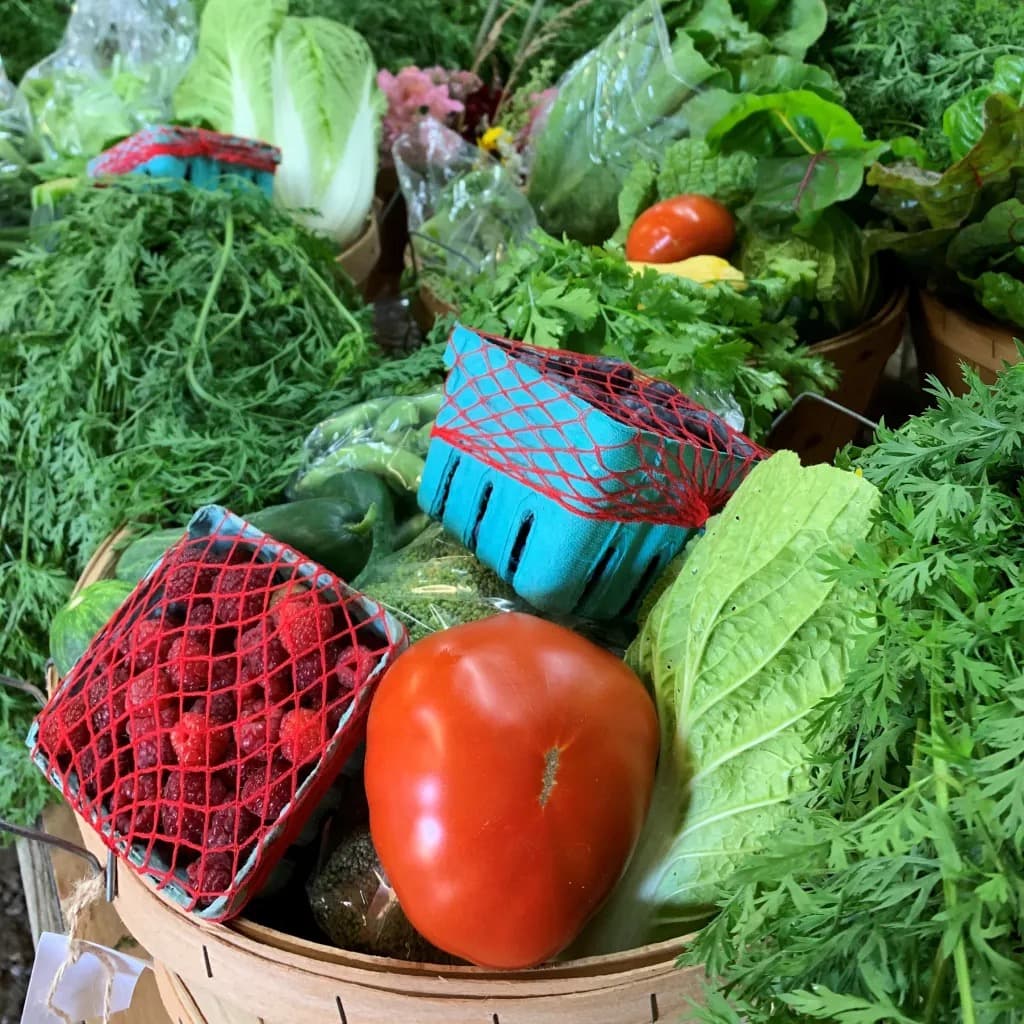 Farm photography at Tracie's Community Farm, Fitzwilliam, New Hampshire.