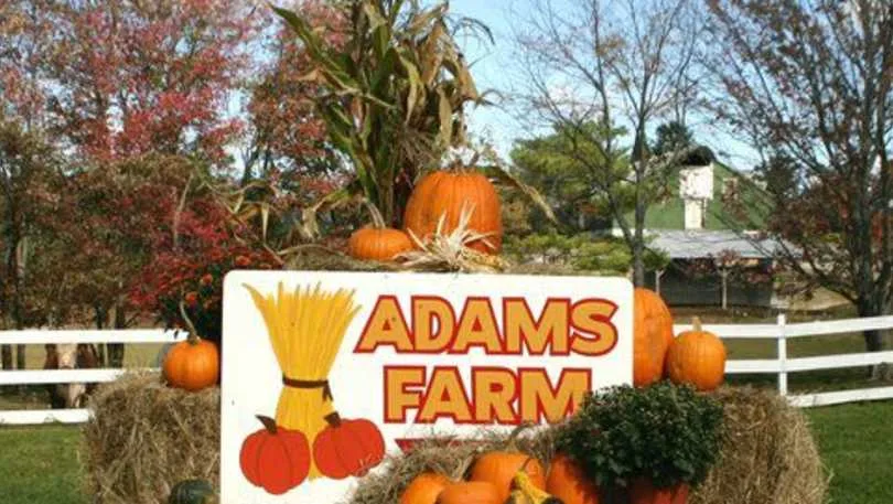 Farm photography at Adams Farm, Cumberland, Rhode Island.