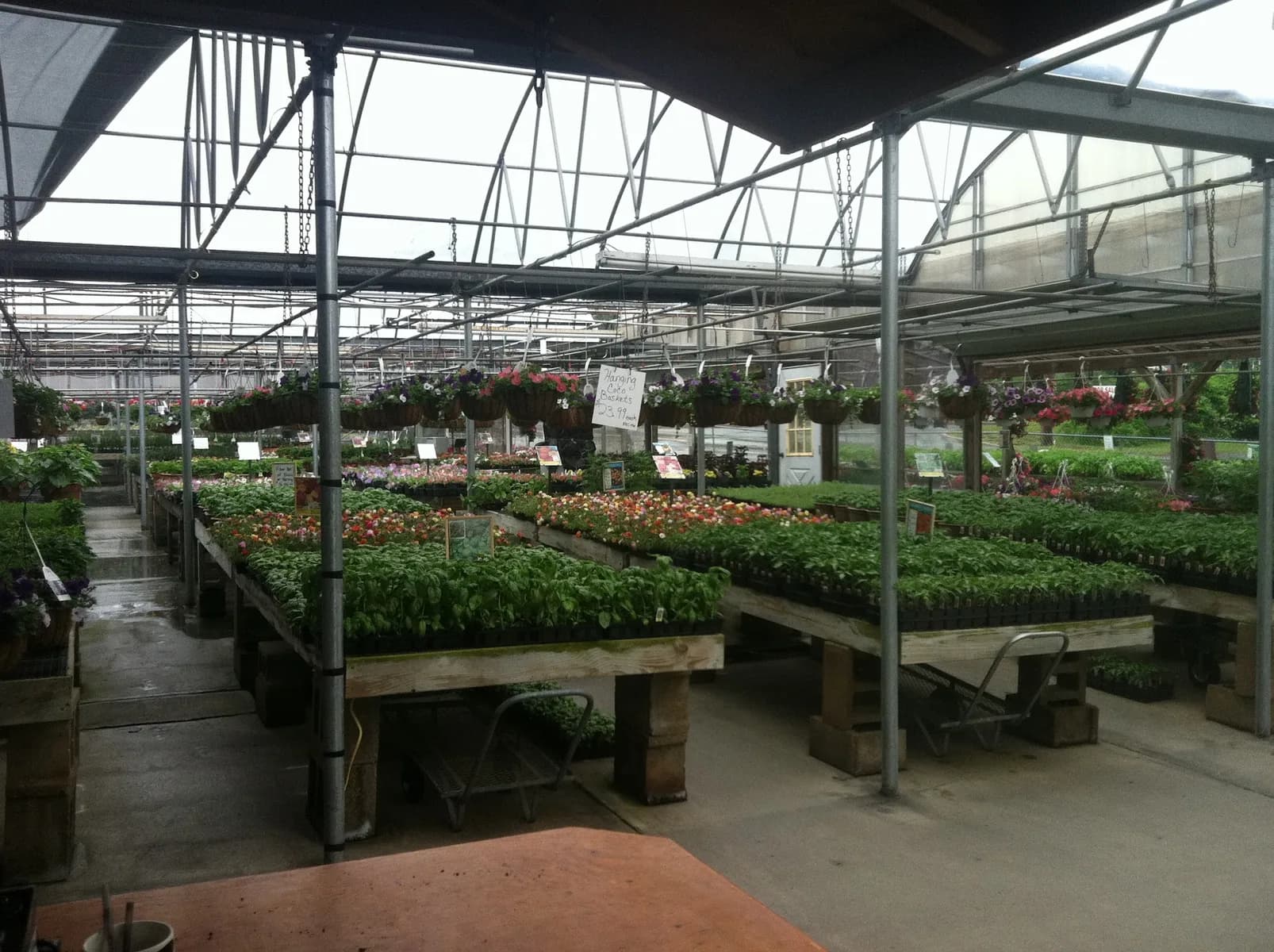 Farm photography at Al's Greenhouse, Cranston, Rhode Island.