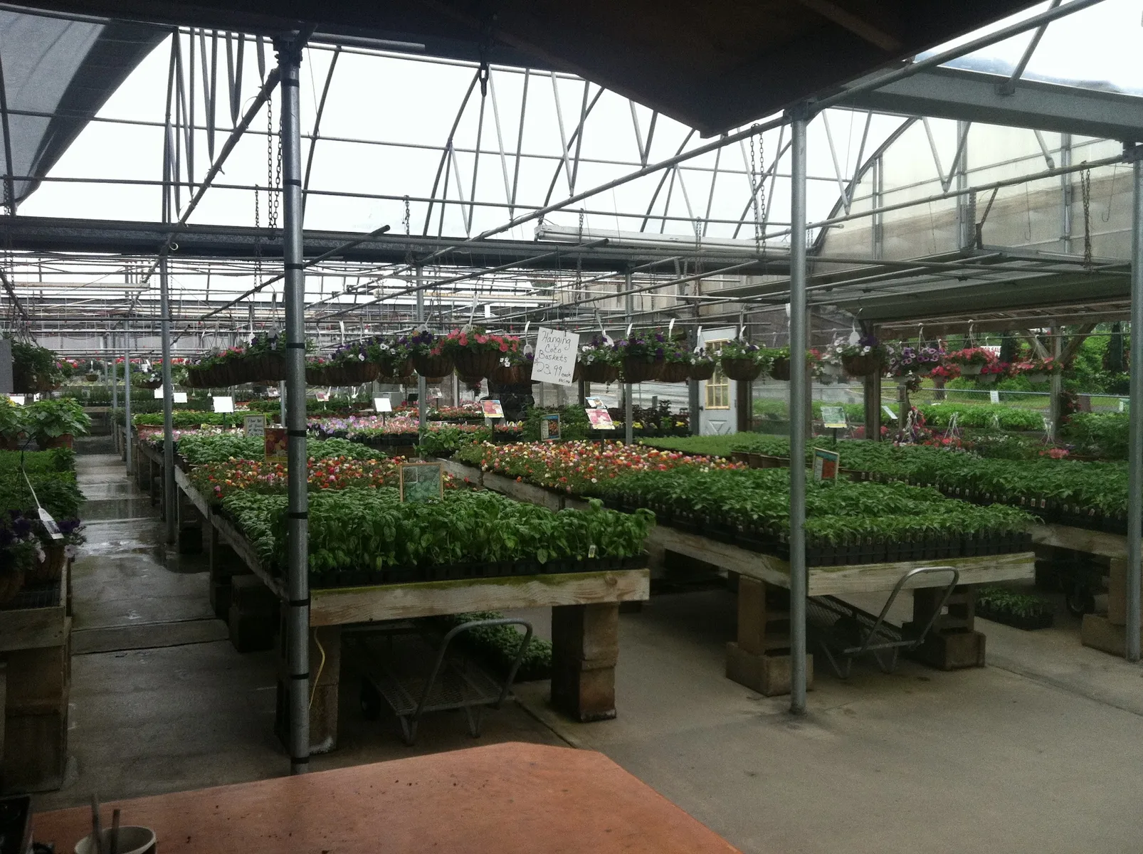 Farm photography at Al's Greenhouse, Cranston, Rhode Island.