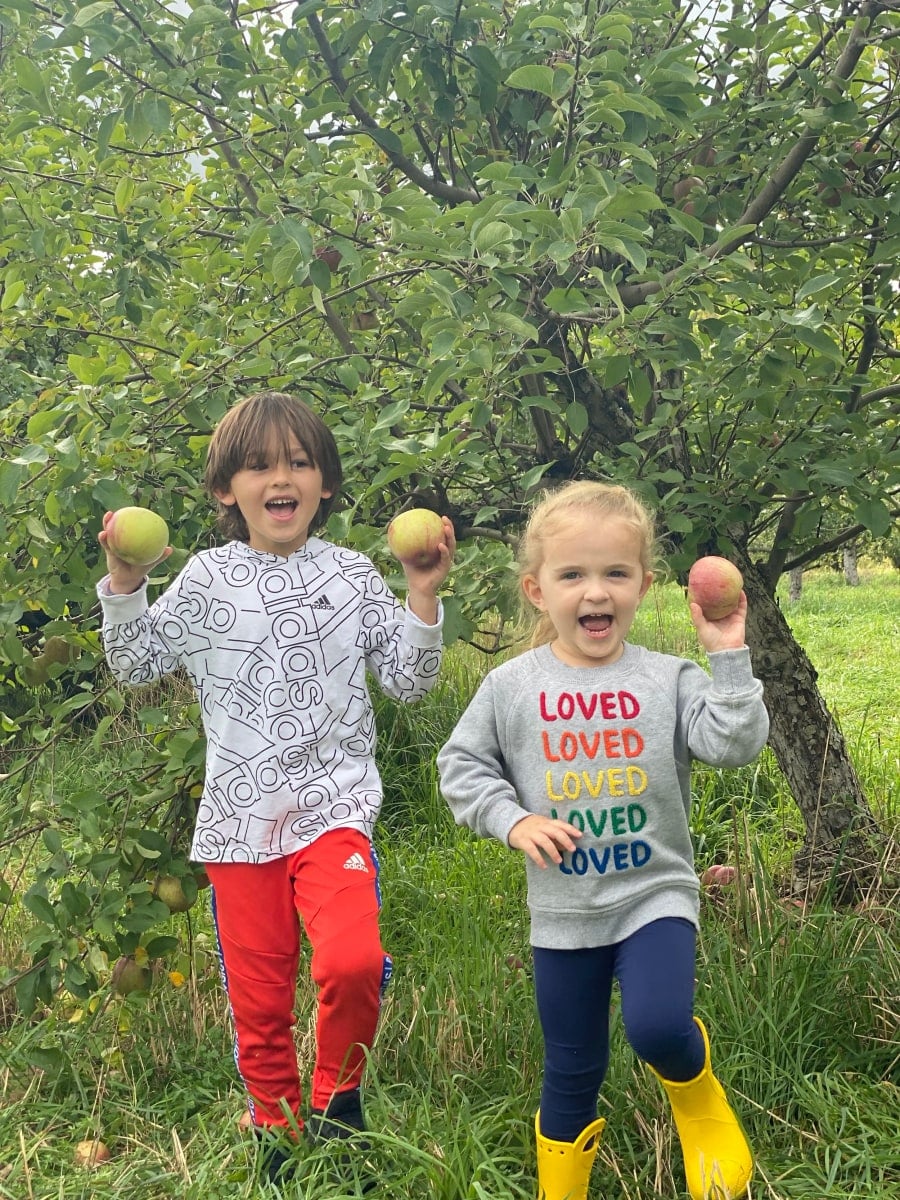 Farm photography at Appleland Orchard, Greenville, Rhode Island.